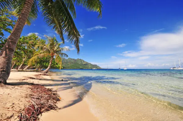 Strand på Moorea på resa till Franska Polynesien