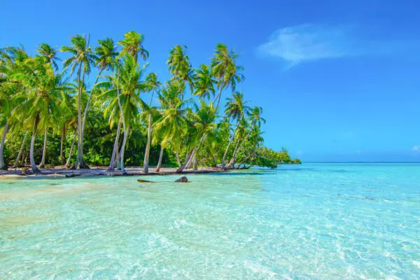 Paradisen Moorea och Bora Bora